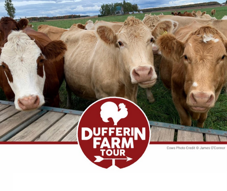 Dufferin Farm Tour ver 1.png