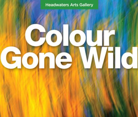 Colour Gone Wild - Headwaters Arts.png
