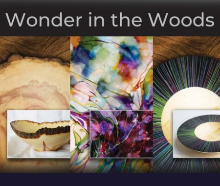 Wonder in the woods.png